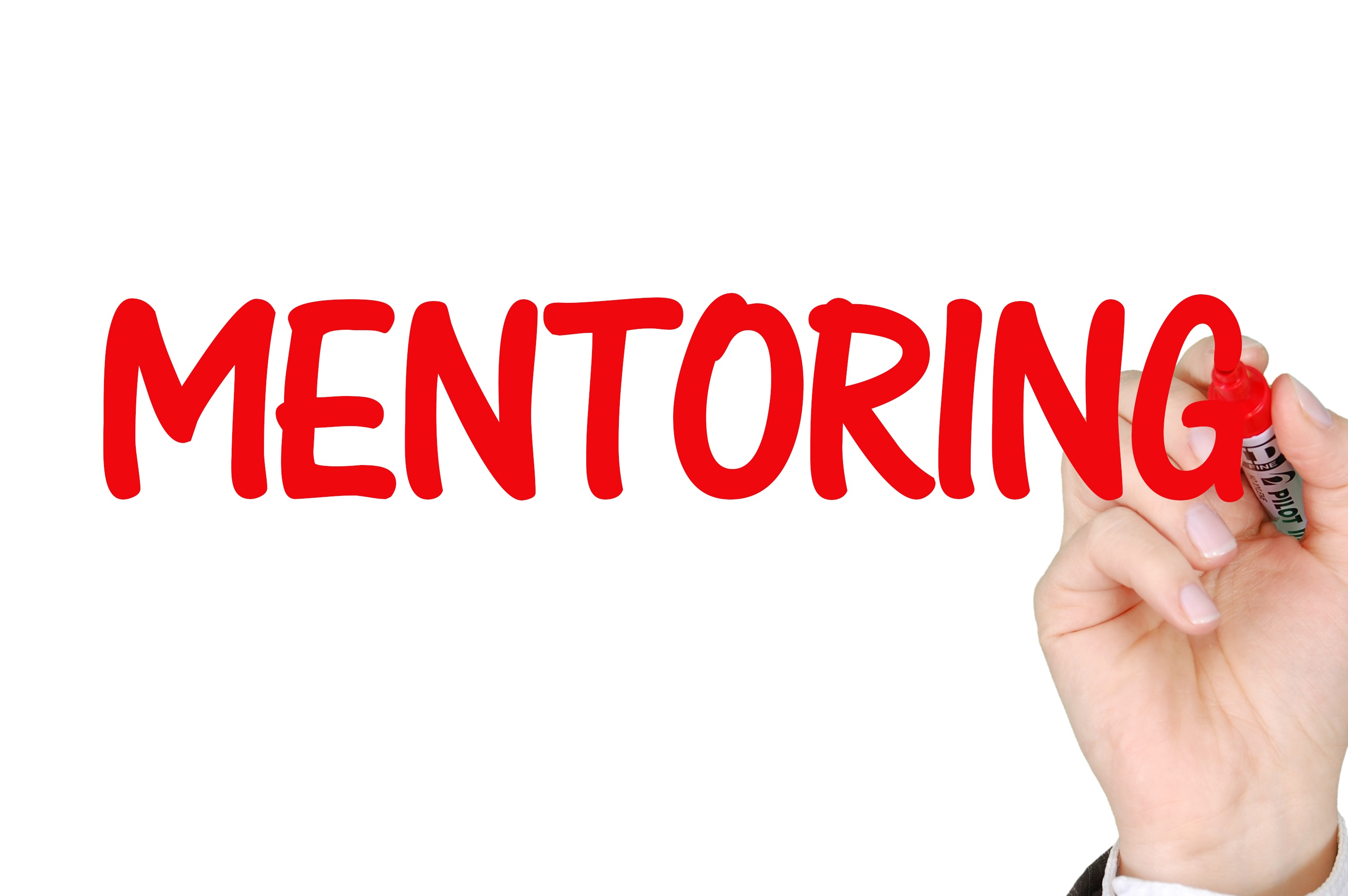 mentoring-2738524