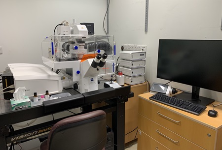 LSM980 photo 2 LSM980 photo 2