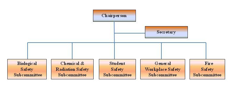 Organisation of the Duke-NUS Safety Committee
