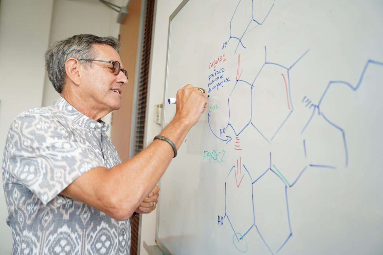 Prof David Vrishup drawing molecular structures on the board