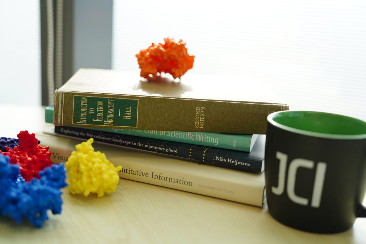 A close-up of books and 3d printed molecules