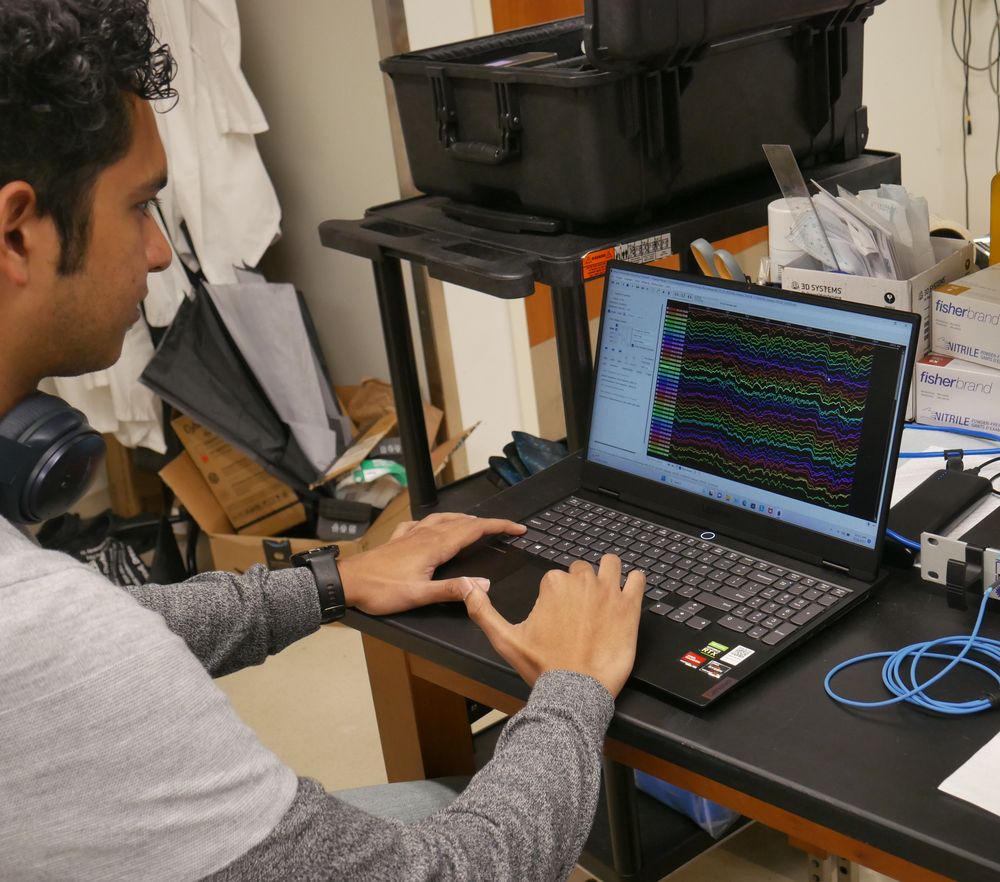 In the lab, a man analyses a colourful array of brain-wave data (photo by Dan Vahaba/Duke University).