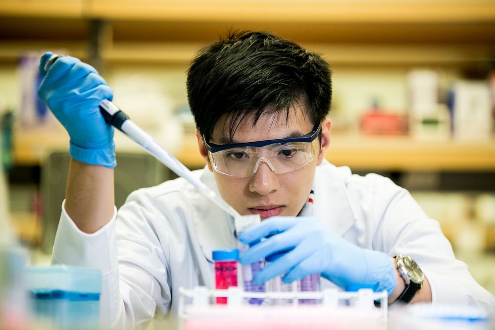 An Asian researcher wearing safety goggles is watching closely as he pipettes samples