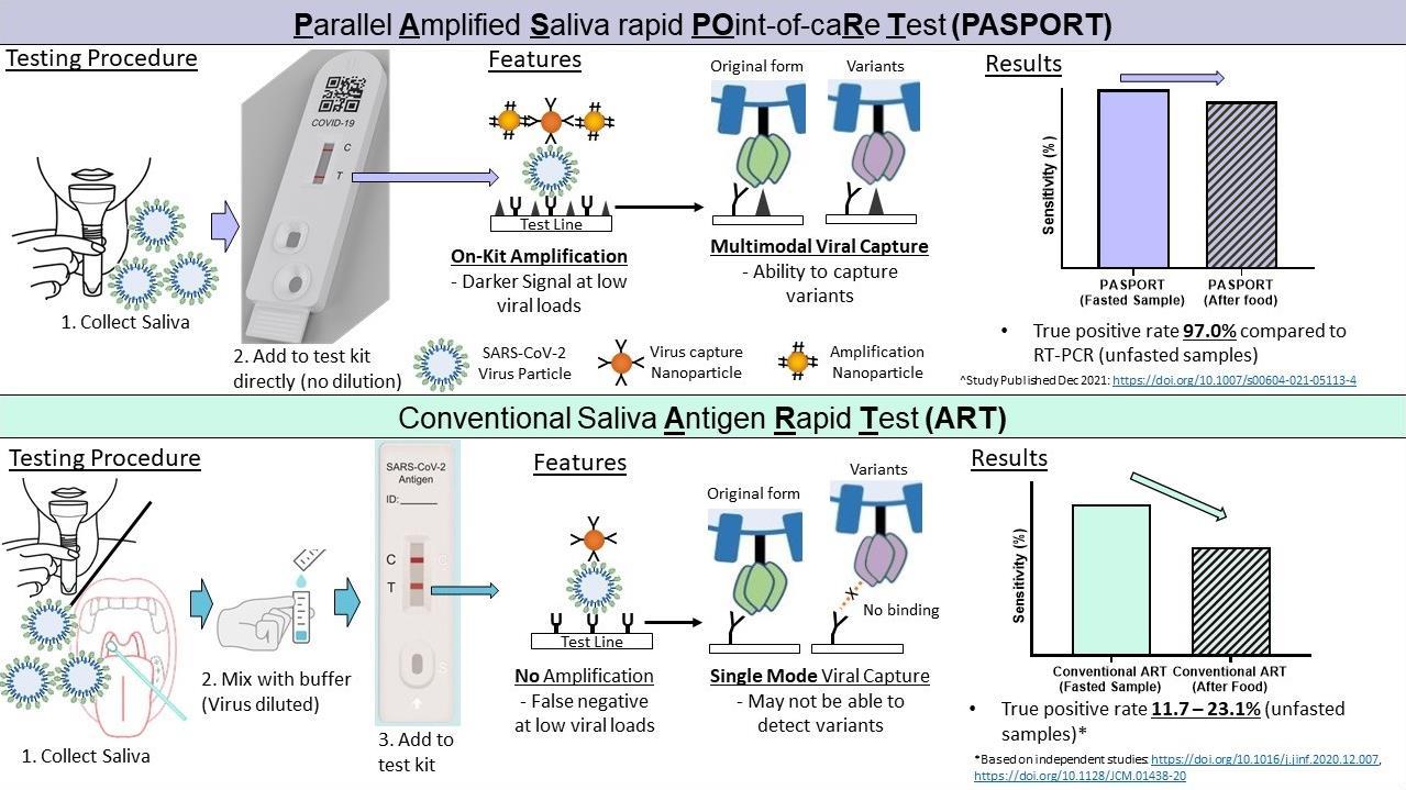 Comparison between how PASPORT and a conventional saliva-based ART processes samples