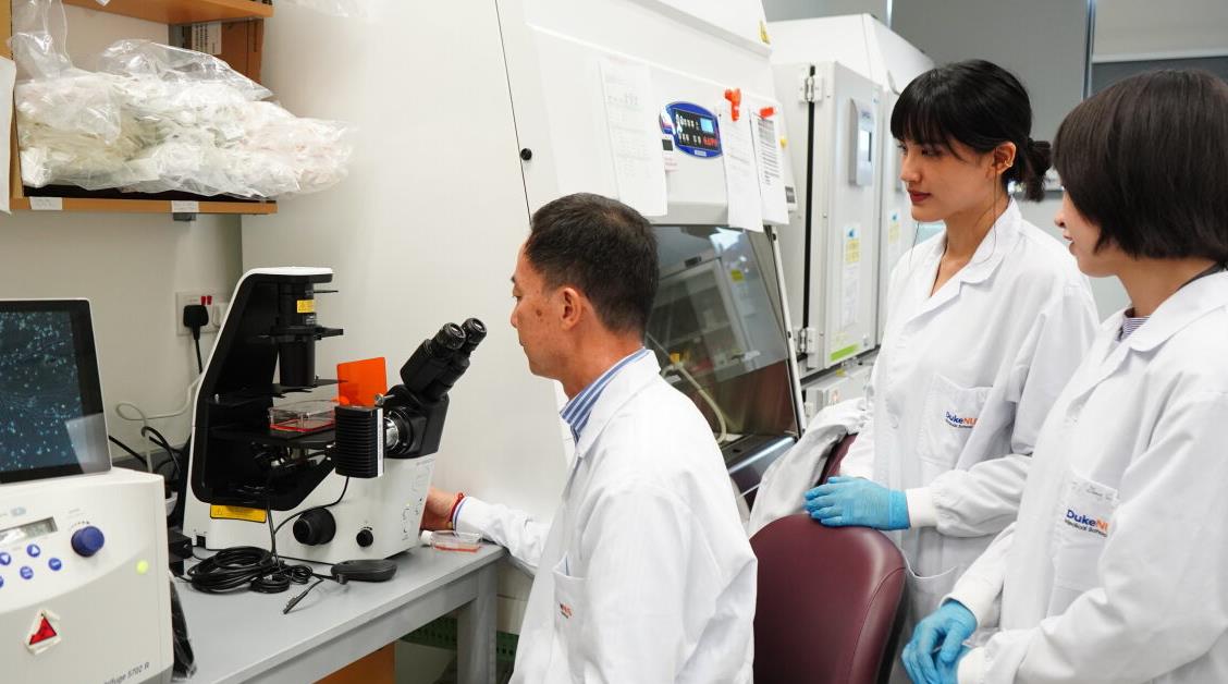 Prof Zhang (left) explaining how neurons are grown in the lab, joined by MD-PhD student Ms Yvonne Yen (centre) and research fellow Dr Yuan Fang (right)