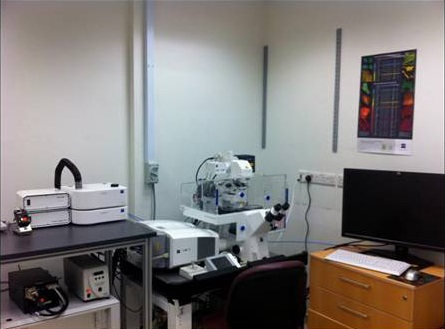 CellSortingFacility_Visual1 CellSortingFacility_Visual1