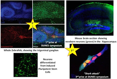 CoreSortingFacility_Visual3_0 CoreSortingFacility_Visual3_0