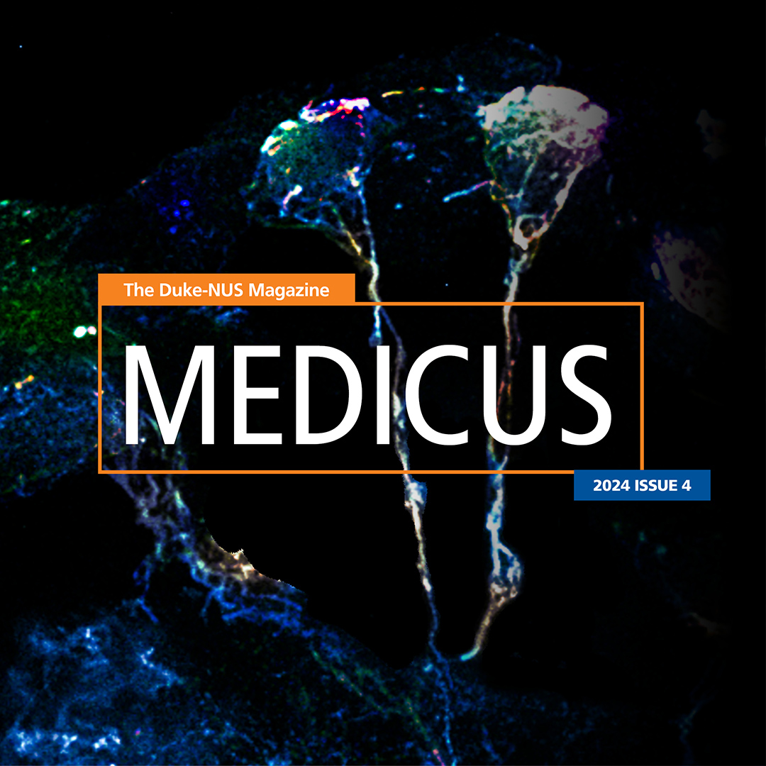 MEDICUS 2024 issue 4