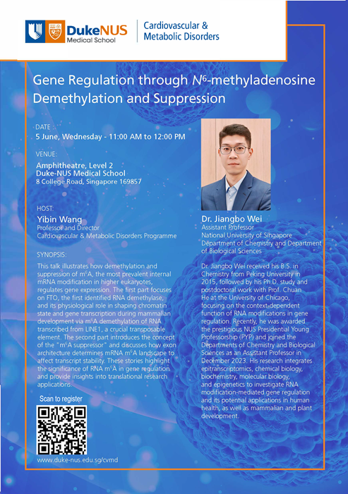 Seminar Flyer_Wei Jiangbo