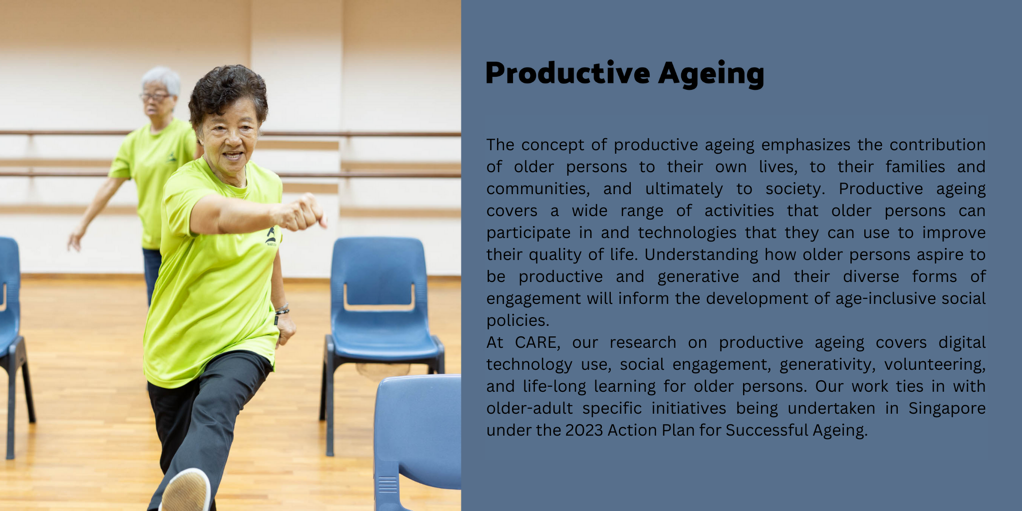 Productive ageing