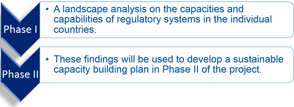 Asian Development Bank Project Phase